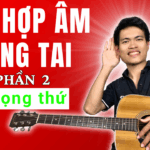 Khóa học guitar cơ bản