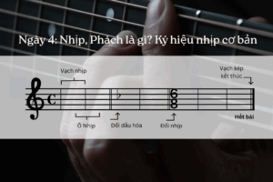 nhip-la-gi