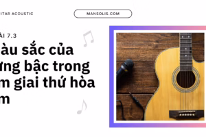 mau-sac-cua-tung-bac-trong-am-giai-thu-hoa-am